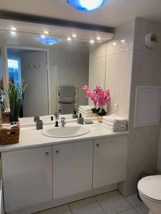 Magnifique Duplex 45 M2 Aux Portes De Paris Metro Barbara A 30Mn Expo Porte De Versailles Μονρούζ Εξωτερικό φωτογραφία